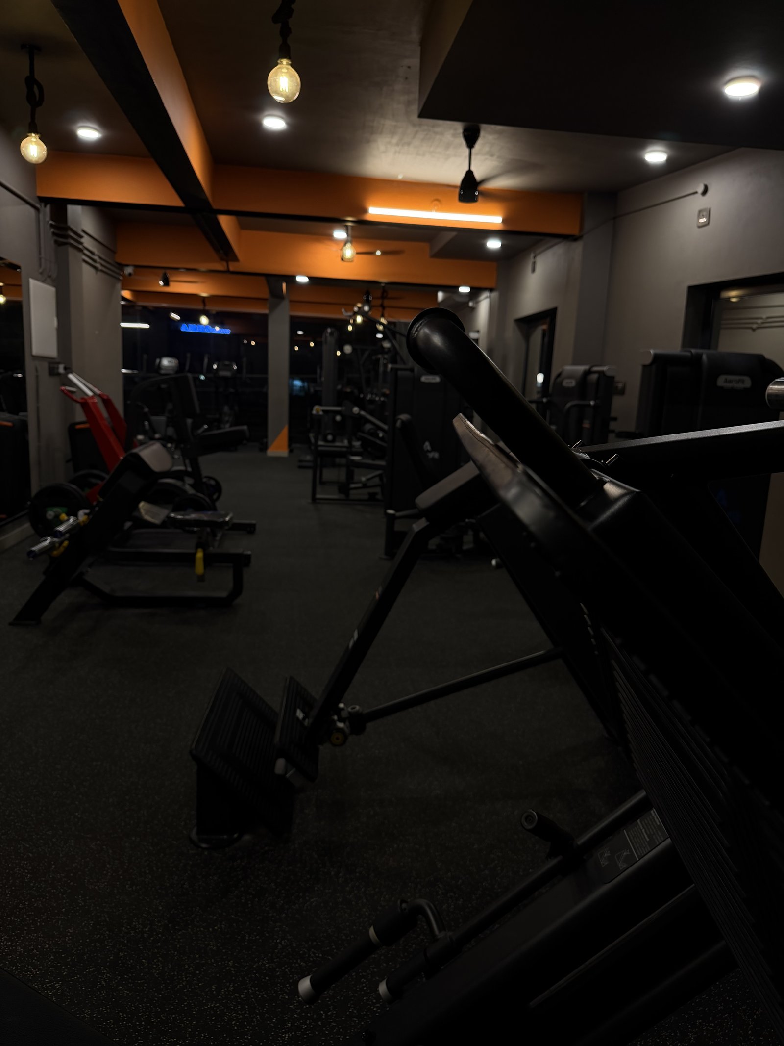 Strength zone cable station at Punch Fitness Koratty